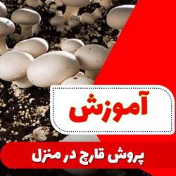 اخبار و اطلاعیه